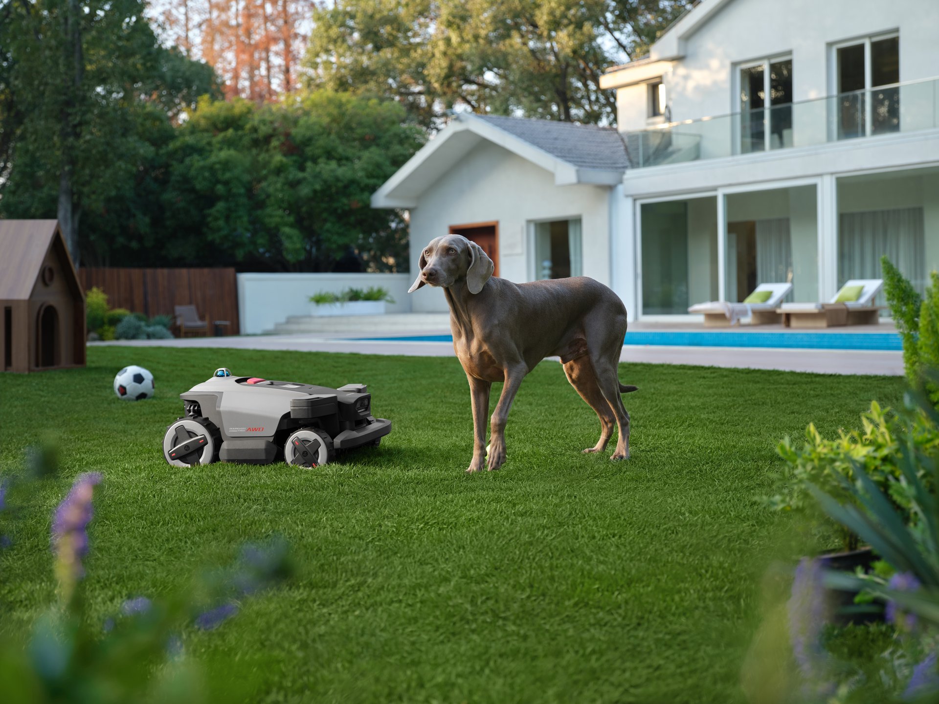 Mähroboter mit Hund auf Rasen